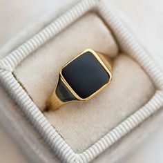 Black Onyx Signet Men's Ring, Signet Ring, 14k Gold Ring, Anniversary Ring, Wedding Ring, Gift For Him, Vintage Ring, Men Ring, Men's Gift Main Stone: Black Onyx Main Stone Color: Black  Main Stone Shape: Square  Birth Month: December S I L V E R J E W E L R Y C A R E Silver is not the best friend of oxygen and sulfur; it can be oxidized and tarnished from time to time it is the nature of silver. To keep the silver shiny and prevent it from oxidizing fast, we would recommend the following instru Onyx Signet Ring, Onyx Colour, Ring Men, Gold Signet Ring, Etsy Gold Ring, Bagan, Men Ring, Men Vintage, Onyx Ring