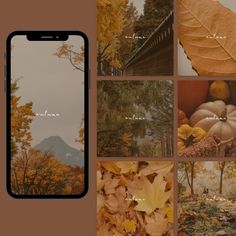 an iphone screen with autumn leaves and mountains in the background, along with text that reads fall is here