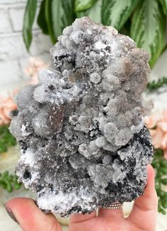 a person holding up a piece of rock with snow on it and flowers in the background