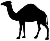 a black and white silhouette of a camel