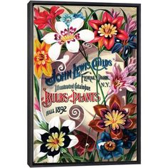 an advertisement for john lewis's flowers from paris, illustrated by the plant company