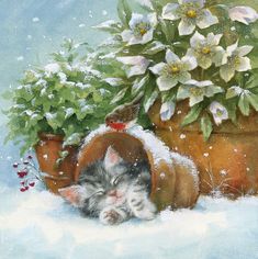 a painting of a kitten sleeping in a potted plant with snow on the ground