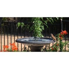 a bird is sitting on the edge of a birdbath in front of flowers