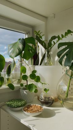 some plants are sitting in vases on a window sill next to the windowsill