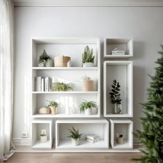 white shelves with plants and books on them