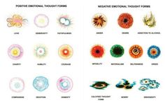 the different types of eyeballs are shown in this diagram, and each one has an individual