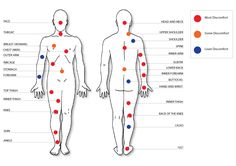 an image of the human body with different colored dots on it's back and sides