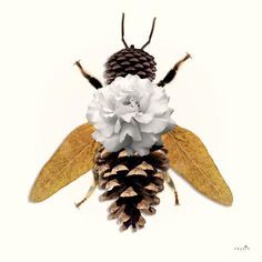 a bee sitting on top of a pine cone covered in white and yellow flowers next to a pine cone