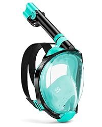 a scuba mask and snorkels on a white background