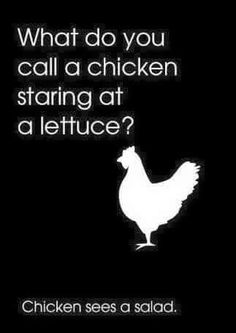 a chicken with the words what do you call a chicken staring at a lettuce?