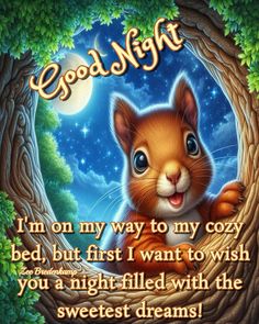 an image of a squirrel with the words goodnight on it's face and in front of