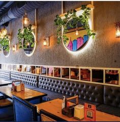 the interior of a restaurant with plants hanging on the wall