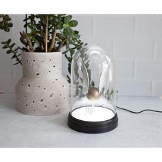 a plant in a glass dome next to a ceramic vase with plants inside it and a white brick wall behind it