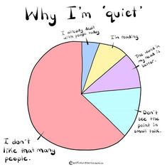 a pie chart with the words, why i'm quiet? and other things