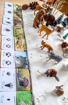 a table topped with lots of toy animals on top of snow covered ground next to cards