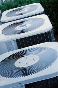 three white fans sitting next to each other