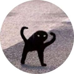 a black cat standing on its hind legs in front of a white circle with the shadow of it's tail