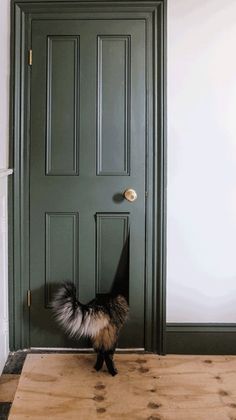 a dog standing in front of a green door