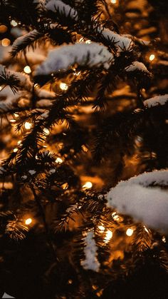 the branches of a christmas tree are covered with snow and lite up by small lights