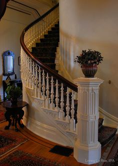 a dog is standing in front of a staircase with flowers on the balconies