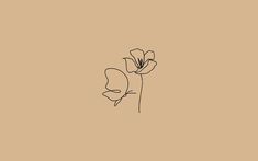 a single flower on a tan background