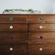 a wooden dresser with buttons on it and a plant in the top drawer, sitting against a white wall