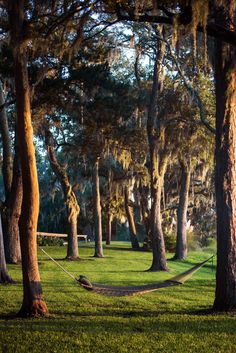 a hammock hanging between two trees in a park