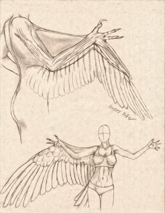 two drawings of an angel and a woman in swimsuits with wings spread out