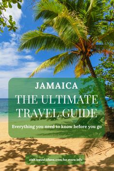 a palm tree on the beach with text that reads jamaica the ultimate travel guide everything you need to know before you go