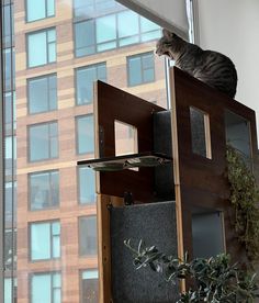 a cat sitting on top of a window sill