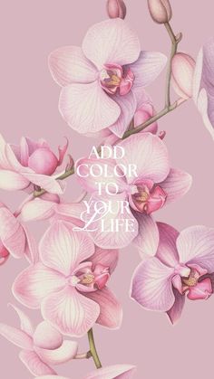 pink orchids with the words add color to your life