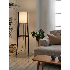 a living room with a couch, table lamp and potted plant on the floor