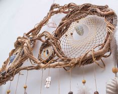 a group of objects that are hanging on the wall together, including a net and feathers