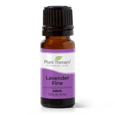 Lavender Fine Essential Oil – Plant Therapy Lavender Benefits, Natural Aromatherapy, Hair Therapy, Skin Imperfection, Oil Plant