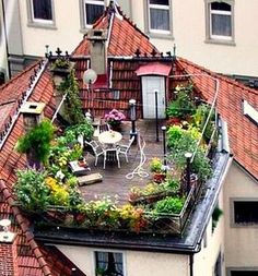 an aerial view of a rooftop garden with potted plants and flowers on the roof