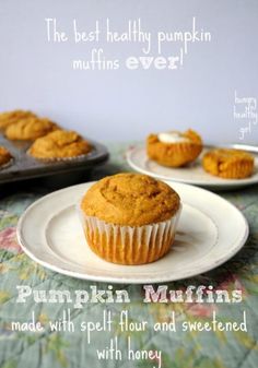 pumpkin muffins made with spelt flour and sweetened with honey on a plate