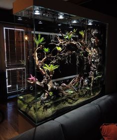 a fish tank filled with plants and rocks on top of a wooden floor next to a couch