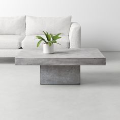 a concrete coffee table with a potted plant on top