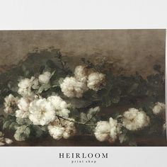 a painting of white flowers in a vase on a table with the words heiroom written below it