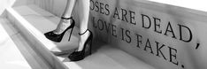 black and white photograph of woman's high heels sitting on bench with sign reading roses are dead, love is fake