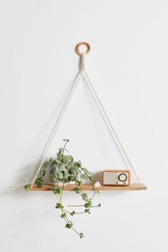 a plant is growing on top of a shelf with a radio in front of it