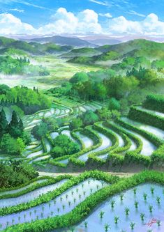 an artist's painting of a rice field in the countryside with mountains and trees