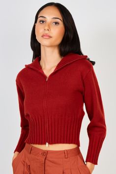 Burgundy high neck double zip cardigan_1 Winter Fitted Cardigan With Zipper Closure, Fitted Half-zip Sweater For Winter, Winter Half-zip Sweater For Layering, Winter Layering Half-zip Sweater, Fitted Funnel Neck Outerwear For Layering, Winter Half-zip Layering Outerwear, Winter Solid Color Half-zip Sweater, Half-zip Outerwear For Winter Layering, Winter Funnel Neck Top With Zipper Closure