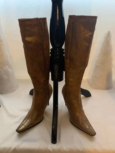 Tan Pontied toe boots In very good condition  Zips up the side  3:5 inches heels Has gold metallic look in the twine with the tan color.  Size 7B Metallic Look, Toe Boots, 5 Inch Heels, Tan Color, Boot Shoes Women, Twine, Gold Metal, Womens Boots, Shoe Boots