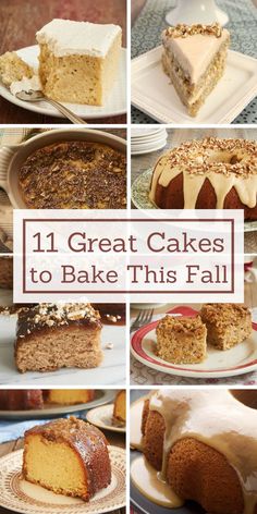 different types of cakes on plates with the words 11 great cakes to bake this fall