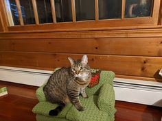 a cat sitting on top of a green chair in front of a wooden window sill