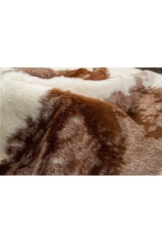 two brown and white furs are laying on top of each other in the same pattern