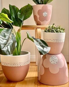 three potted plants sitting on top of each other