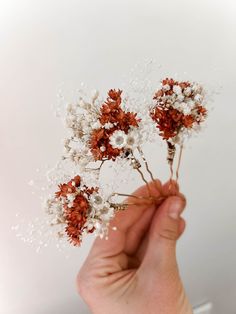 a hand is holding some white and red flowers in their left hand, while the other hand holds it up