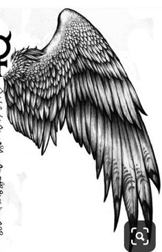 an angel wing with the letter q on it's side and two smaller wings above it